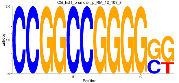 CG_hsf1_promoter_p_RM_12_108_3