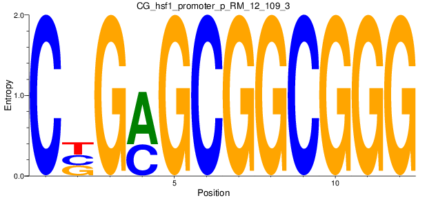 CG_hsf1_promoter_p_RM_12_109_3