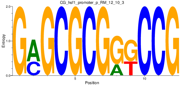 CG_hsf1_promoter_p_RM_12_10_3