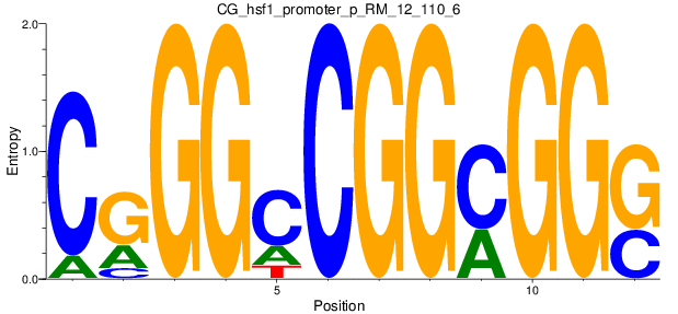 CG_hsf1_promoter_p_RM_12_110_6