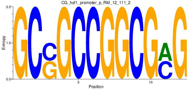 CG_hsf1_promoter_p_RM_12_111_2