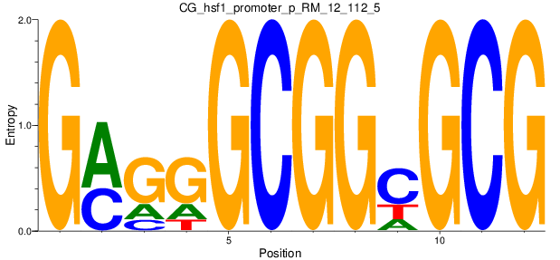 CG_hsf1_promoter_p_RM_12_112_5