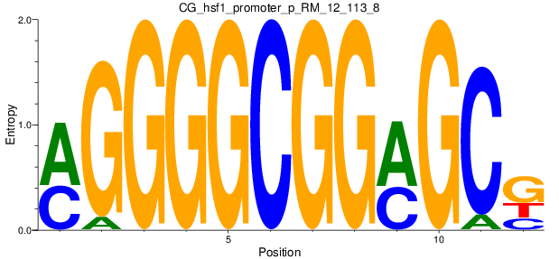 CG_hsf1_promoter_p_RM_12_113_8