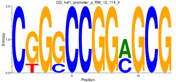 CG_hsf1_promoter_p_RM_12_114_3