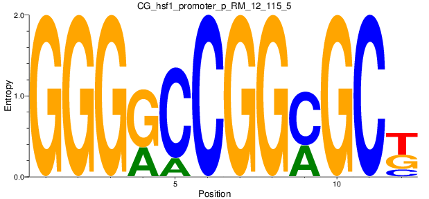 CG_hsf1_promoter_p_RM_12_115_5