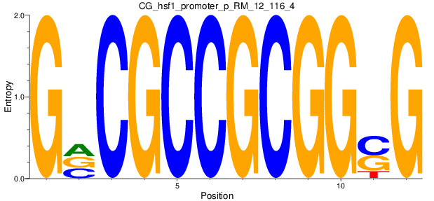 CG_hsf1_promoter_p_RM_12_116_4