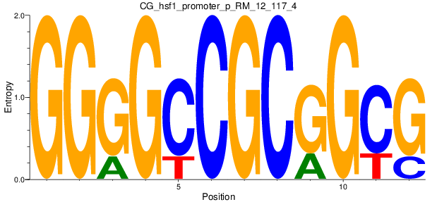 CG_hsf1_promoter_p_RM_12_117_4