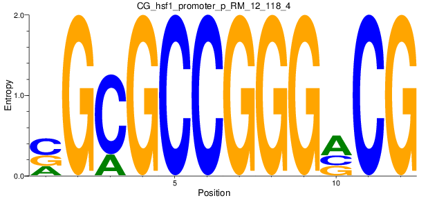 CG_hsf1_promoter_p_RM_12_118_4