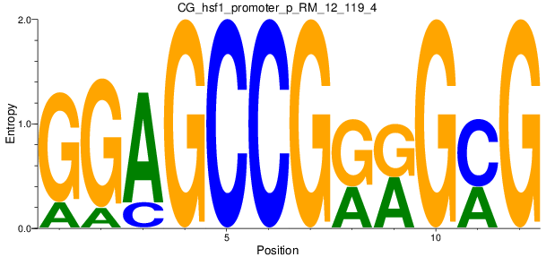 CG_hsf1_promoter_p_RM_12_119_4