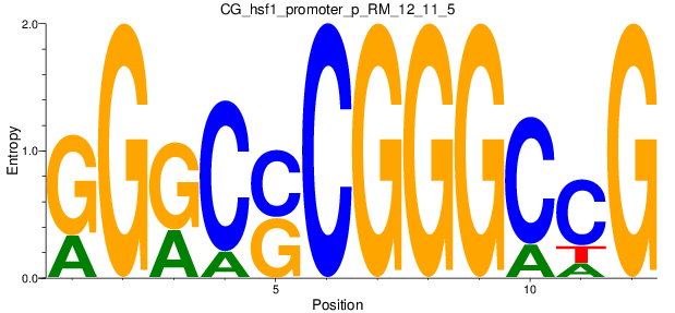 CG_hsf1_promoter_p_RM_12_11_5