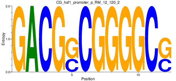 CG_hsf1_promoter_p_RM_12_120_2