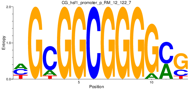 CG_hsf1_promoter_p_RM_12_122_7