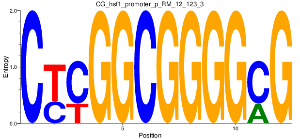 CG_hsf1_promoter_p_RM_12_123_3