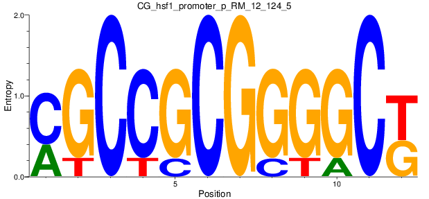 CG_hsf1_promoter_p_RM_12_124_5