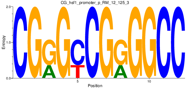 CG_hsf1_promoter_p_RM_12_125_3