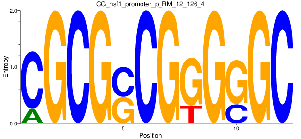 CG_hsf1_promoter_p_RM_12_126_4