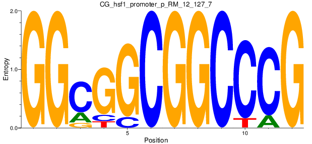 CG_hsf1_promoter_p_RM_12_127_7