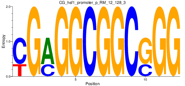 CG_hsf1_promoter_p_RM_12_128_3