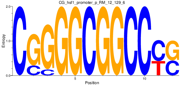 CG_hsf1_promoter_p_RM_12_129_6