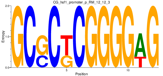 CG_hsf1_promoter_p_RM_12_12_3
