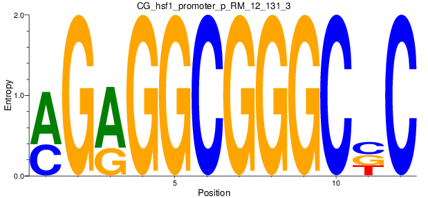 CG_hsf1_promoter_p_RM_12_131_3