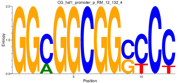 CG_hsf1_promoter_p_RM_12_132_4