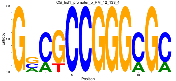 CG_hsf1_promoter_p_RM_12_133_4