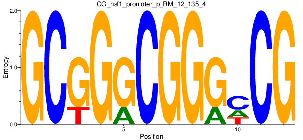 CG_hsf1_promoter_p_RM_12_135_4