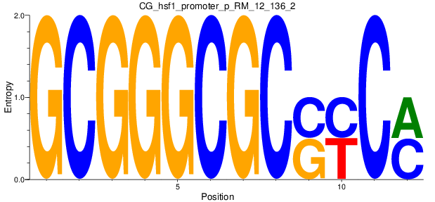 CG_hsf1_promoter_p_RM_12_136_2