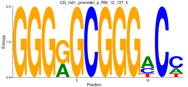 CG_hsf1_promoter_p_RM_12_137_4