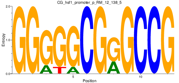 CG_hsf1_promoter_p_RM_12_138_5