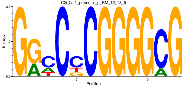 CG_hsf1_promoter_p_RM_12_13_5