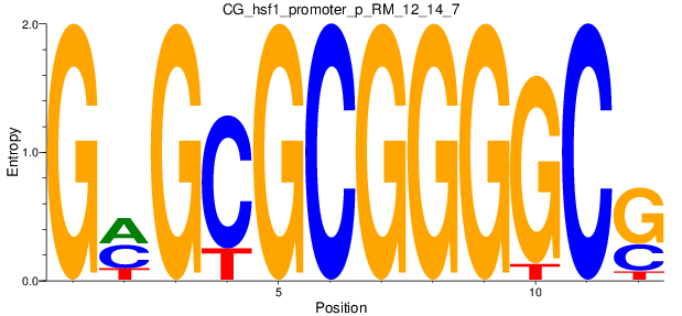 CG_hsf1_promoter_p_RM_12_14_7