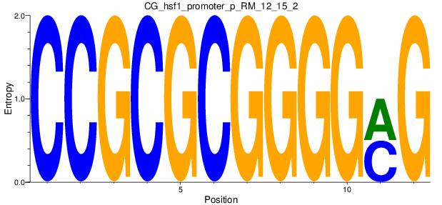 CG_hsf1_promoter_p_RM_12_15_2