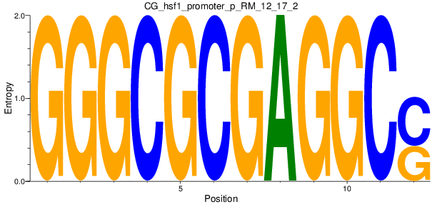 CG_hsf1_promoter_p_RM_12_17_2