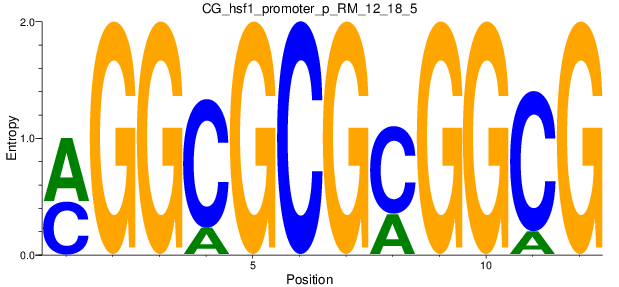 CG_hsf1_promoter_p_RM_12_18_5