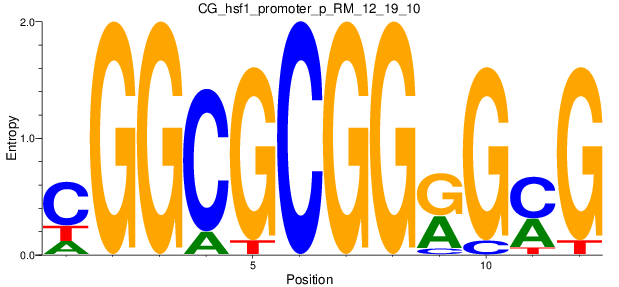 CG_hsf1_promoter_p_RM_12_19_10