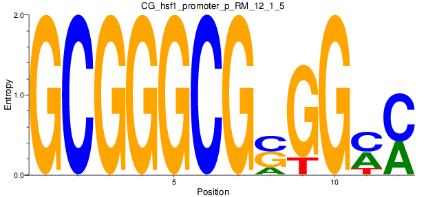 CG_hsf1_promoter_p_RM_12_1_5