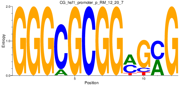 CG_hsf1_promoter_p_RM_12_20_7