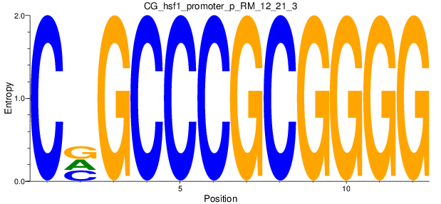 CG_hsf1_promoter_p_RM_12_21_3