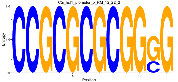 CG_hsf1_promoter_p_RM_12_22_2