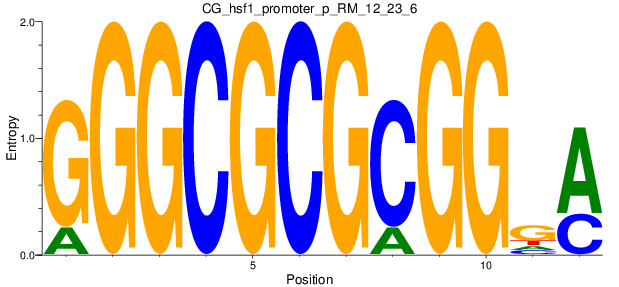CG_hsf1_promoter_p_RM_12_23_6
