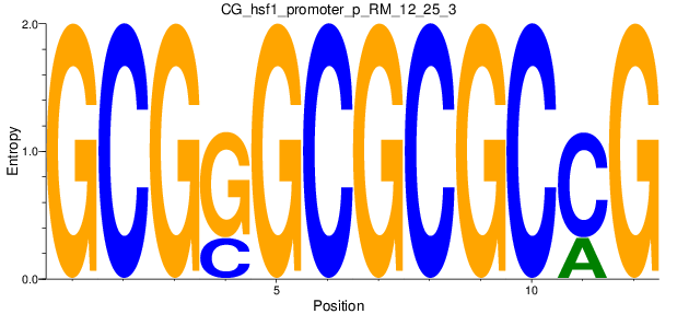 CG_hsf1_promoter_p_RM_12_25_3
