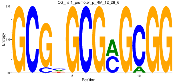 CG_hsf1_promoter_p_RM_12_26_6