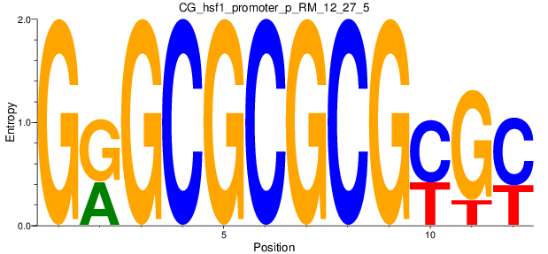 CG_hsf1_promoter_p_RM_12_27_5