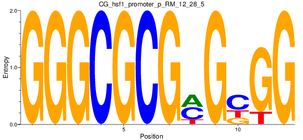 CG_hsf1_promoter_p_RM_12_28_5