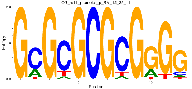 CG_hsf1_promoter_p_RM_12_29_11