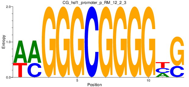 CG_hsf1_promoter_p_RM_12_2_3