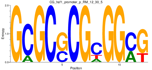 CG_hsf1_promoter_p_RM_12_30_5