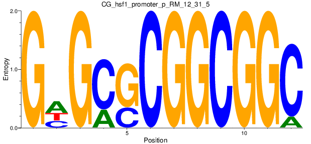 CG_hsf1_promoter_p_RM_12_31_5